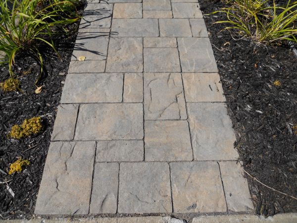 Stamped Concrete Staining in San Luis Obispo
